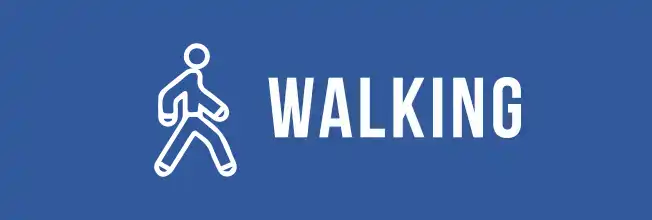 walking icon